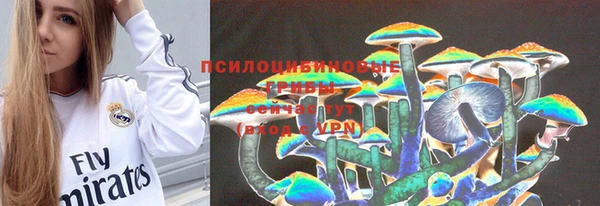 гашик Аркадак