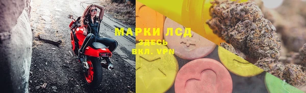 гашик Аркадак