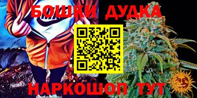 мдпв Нальчик