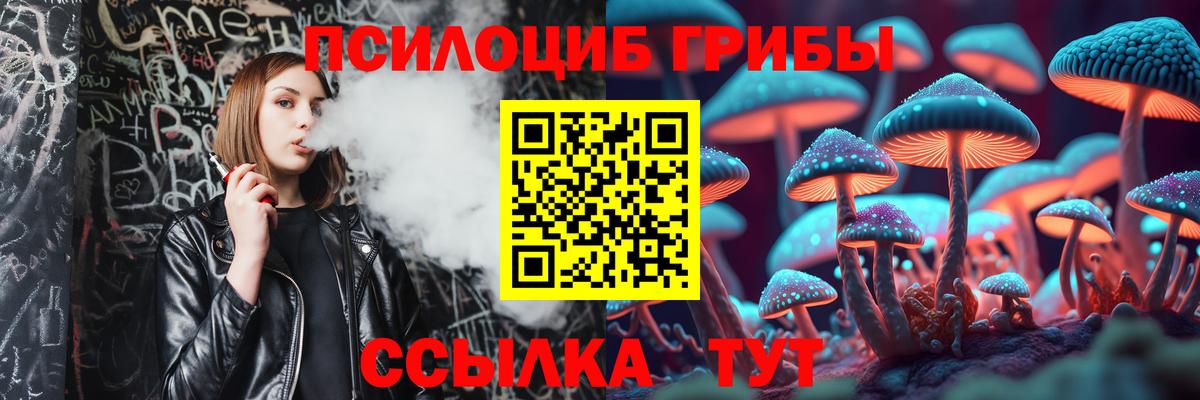 Галлюциногенные грибы Psilocybe  Вход с VPN  Галлюциногенные грибы мицелий  дарнет шоп  Заречный 